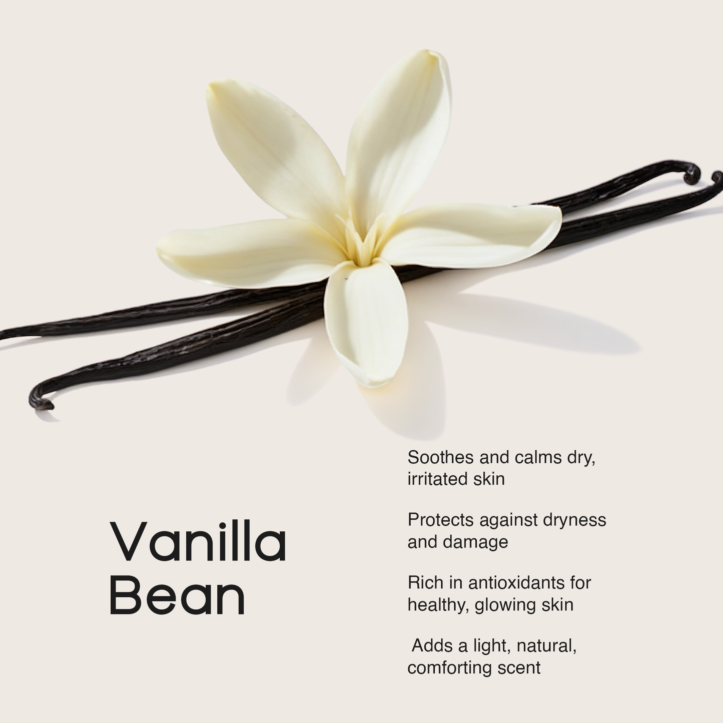Whipped Grass-Fed Tallow Balm with Vanilla Bean
